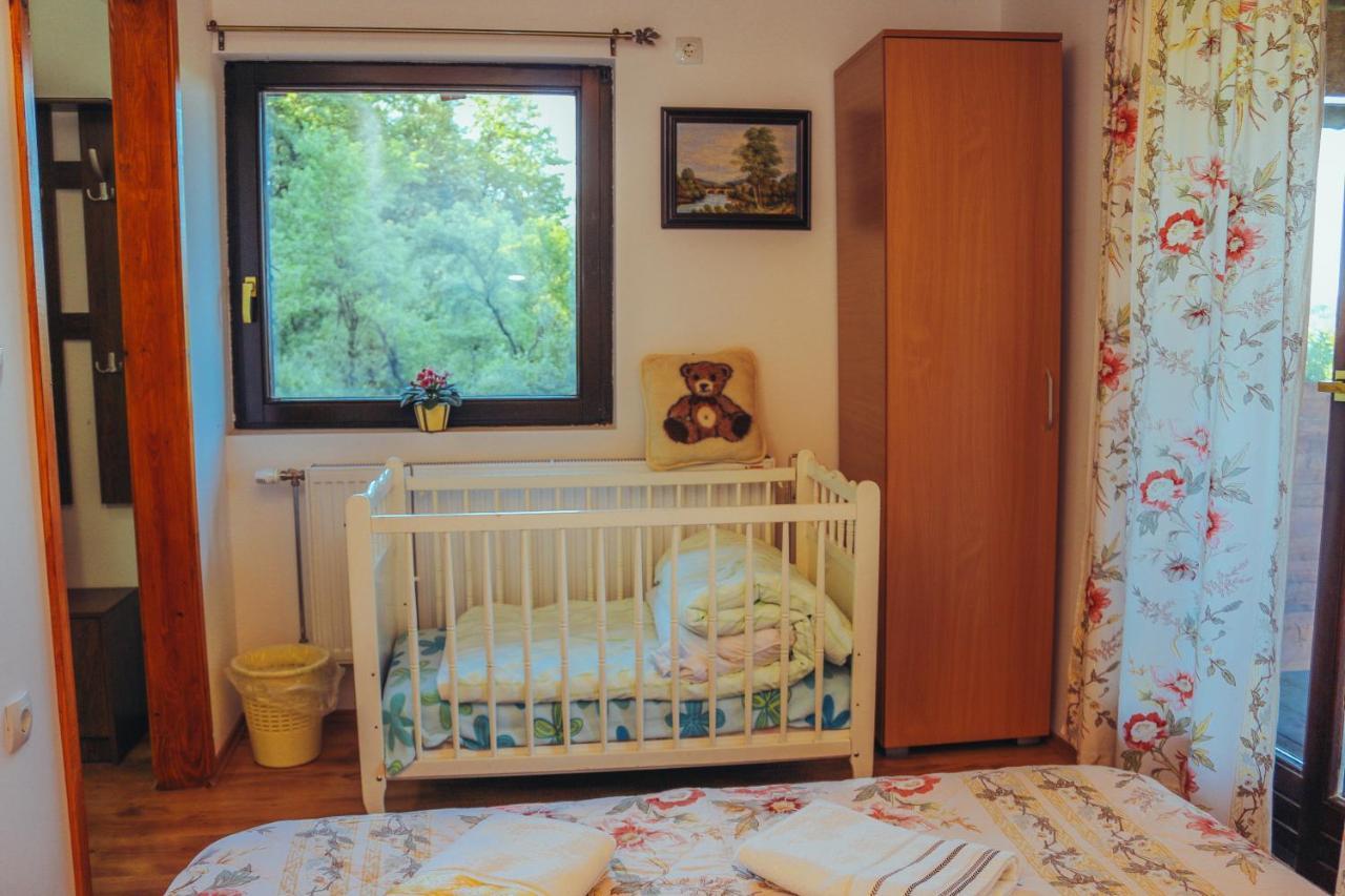 デスポトヴァツ Etno Domacinstvo Milenkovicヴィラ エクステリア 写真